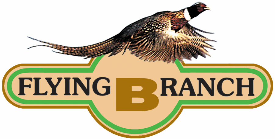 Flying B Ranch Logo