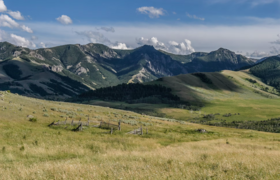 Hubbard's Yellowstone Lodge photo