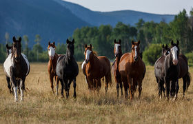 Rawah Guest Ranch photo