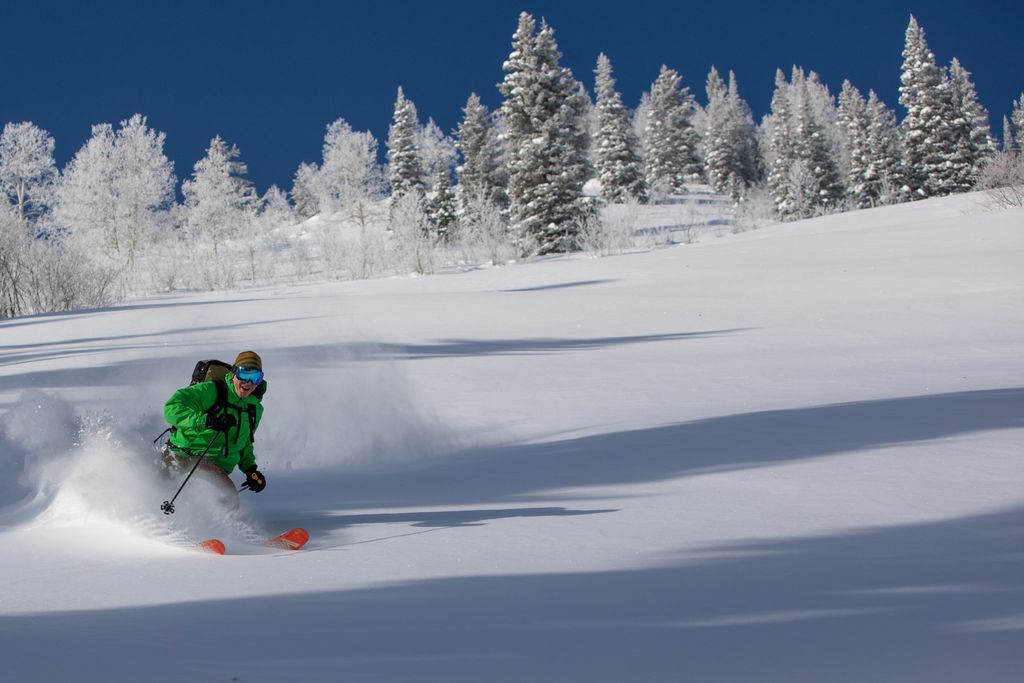 Alpine Skiing
