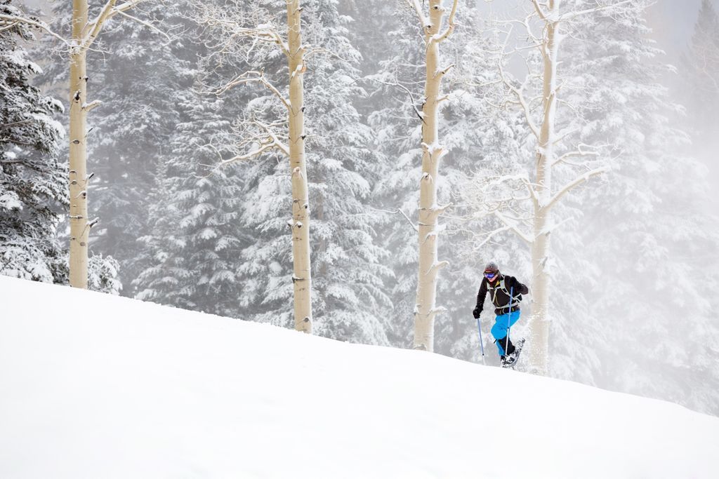 Snowshoeing & Uphilling