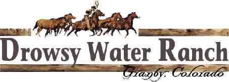 Drowsy Water Ranch Logo