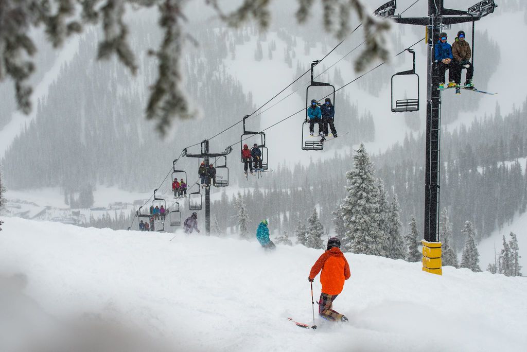 Ski Monarch's fresh powder!