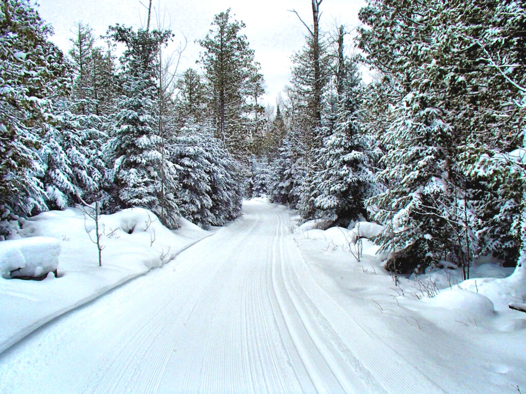 Winter wonderland ski trails