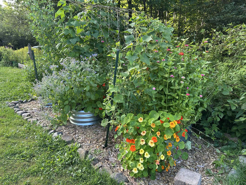 A garden available to staff; we'll support your gardening passion.