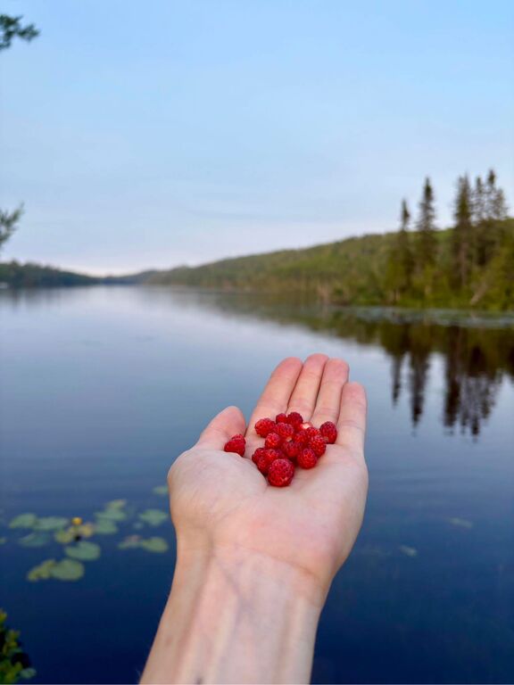 Enjoy the bounty of nature in our northwoods environment.