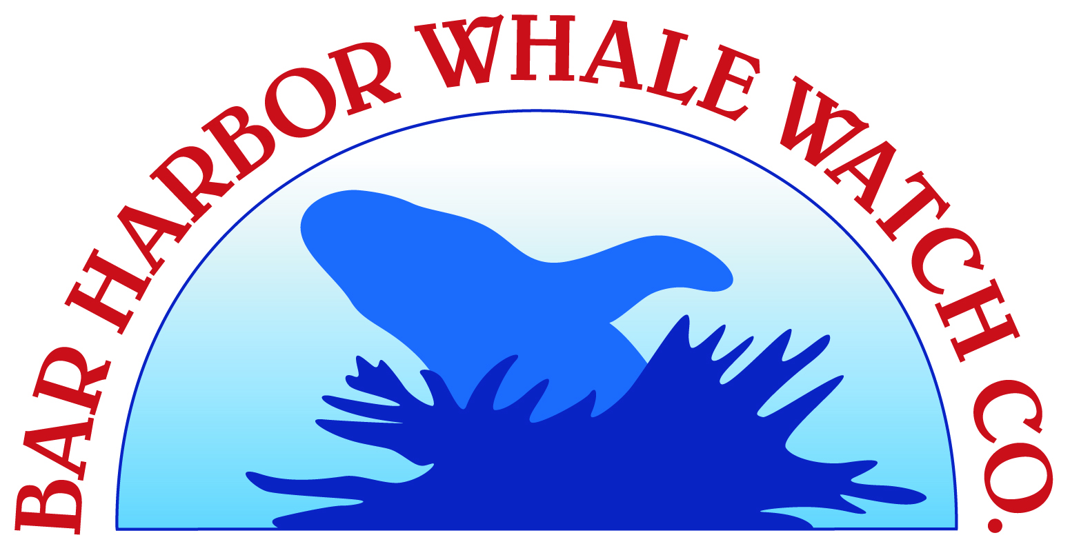 Bar Harbor Whale Watch Logo