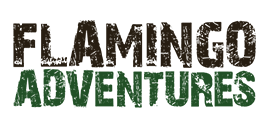 Flamingo Adventures Logo