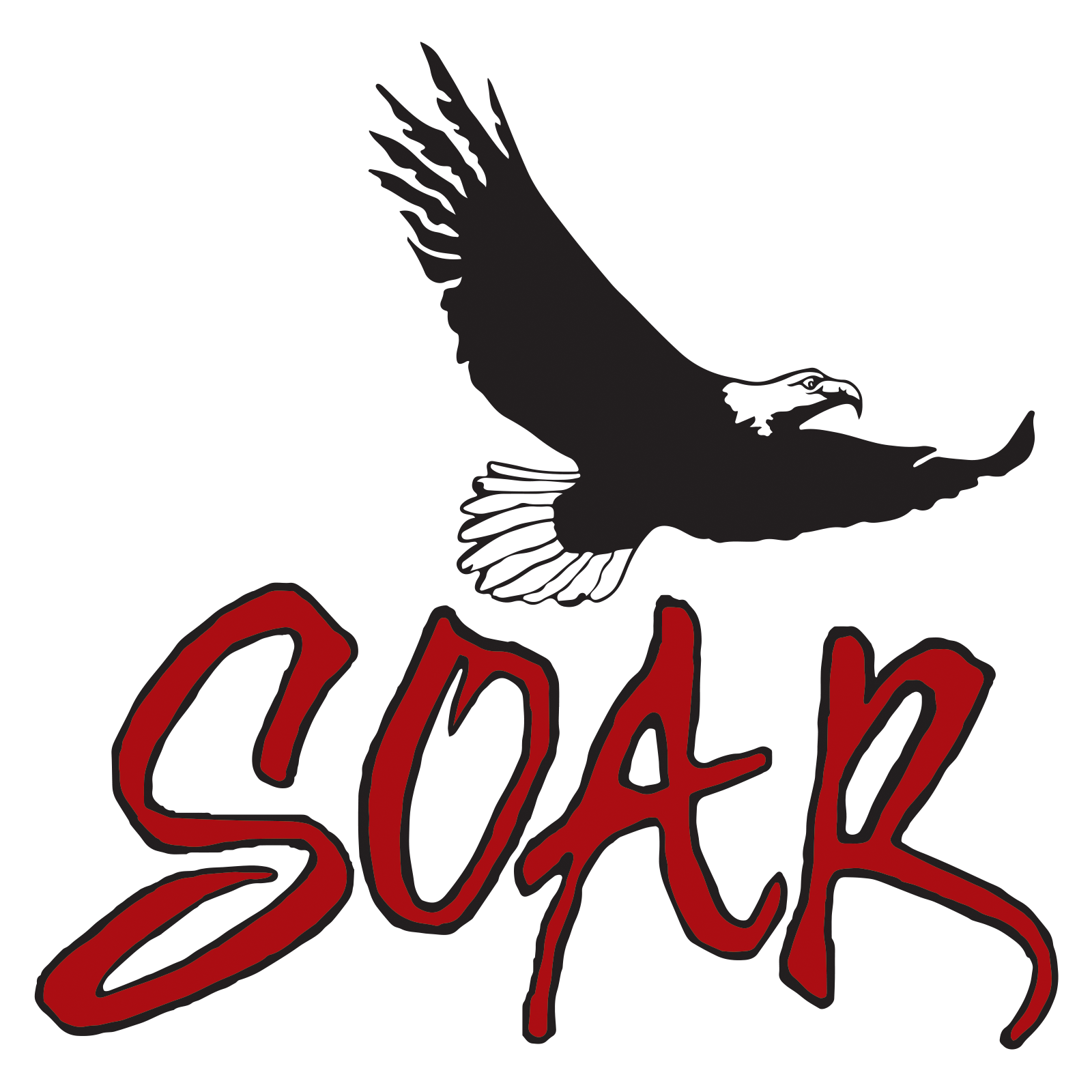 SOAR Inc Logo
