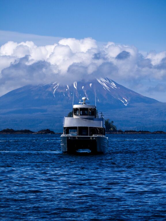 Wildlife Coastal Cruise