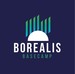 Borealis Basecamp Borealis Basecamp Logo