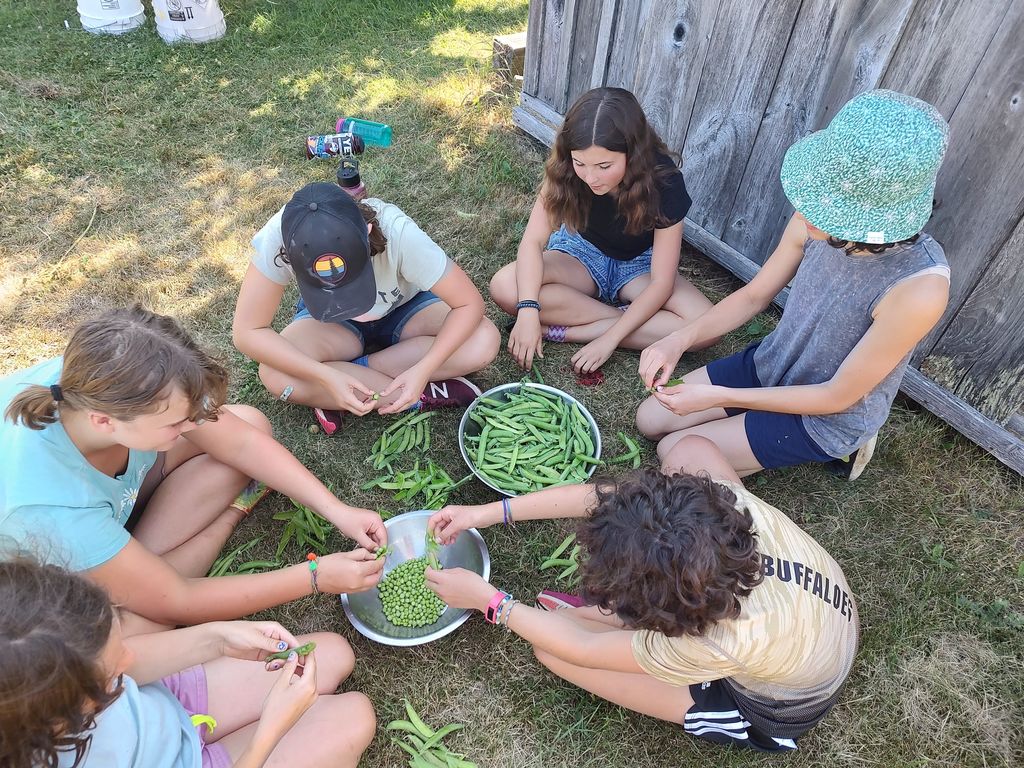 Shelling peas in the garden is a favorite activity!