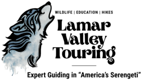 Lamar Valley Touring Logo