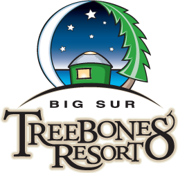 Treebones Logo