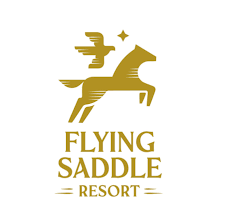 Flying Saddle Logo