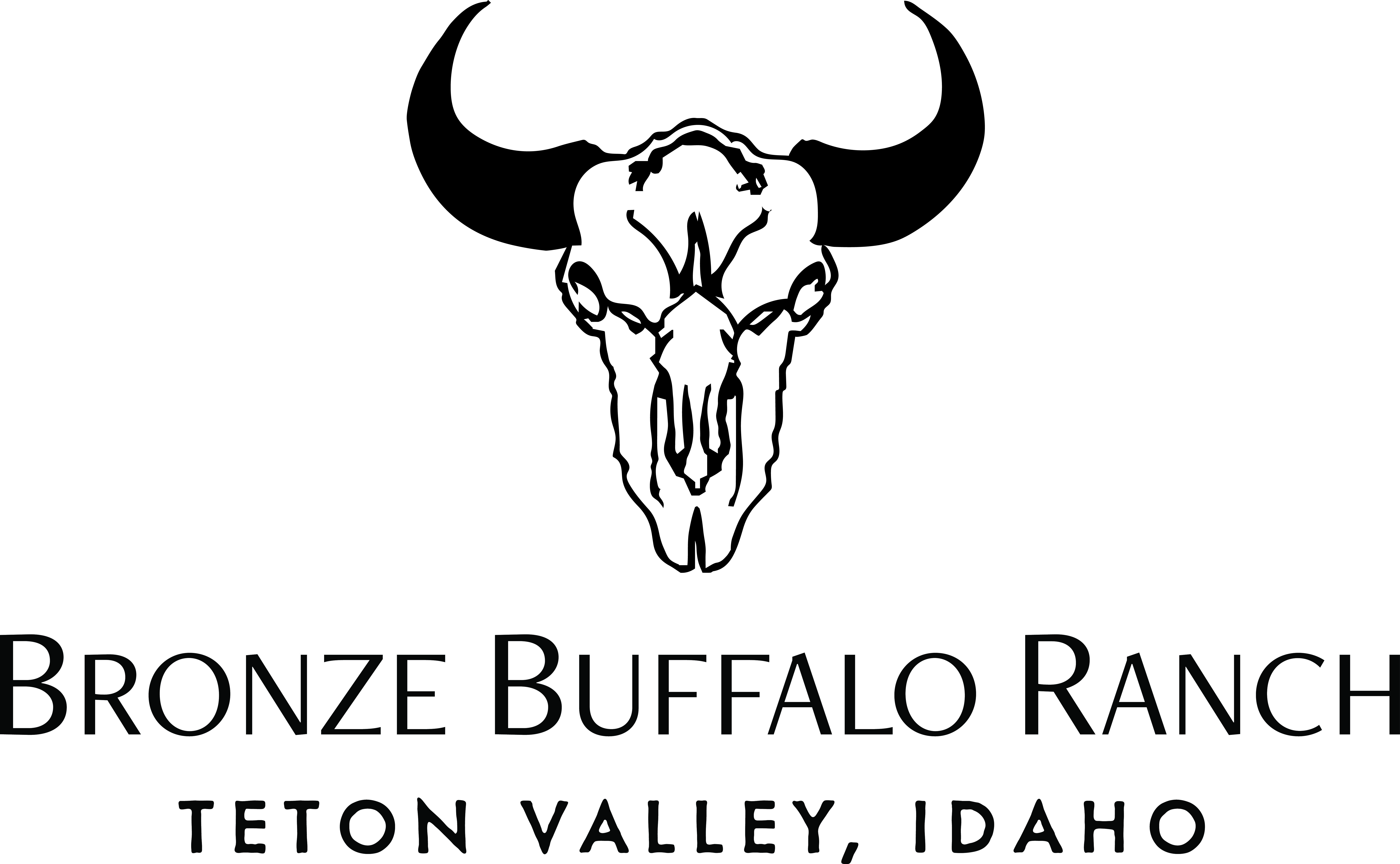 Bronze Buffalo Ranch Logo