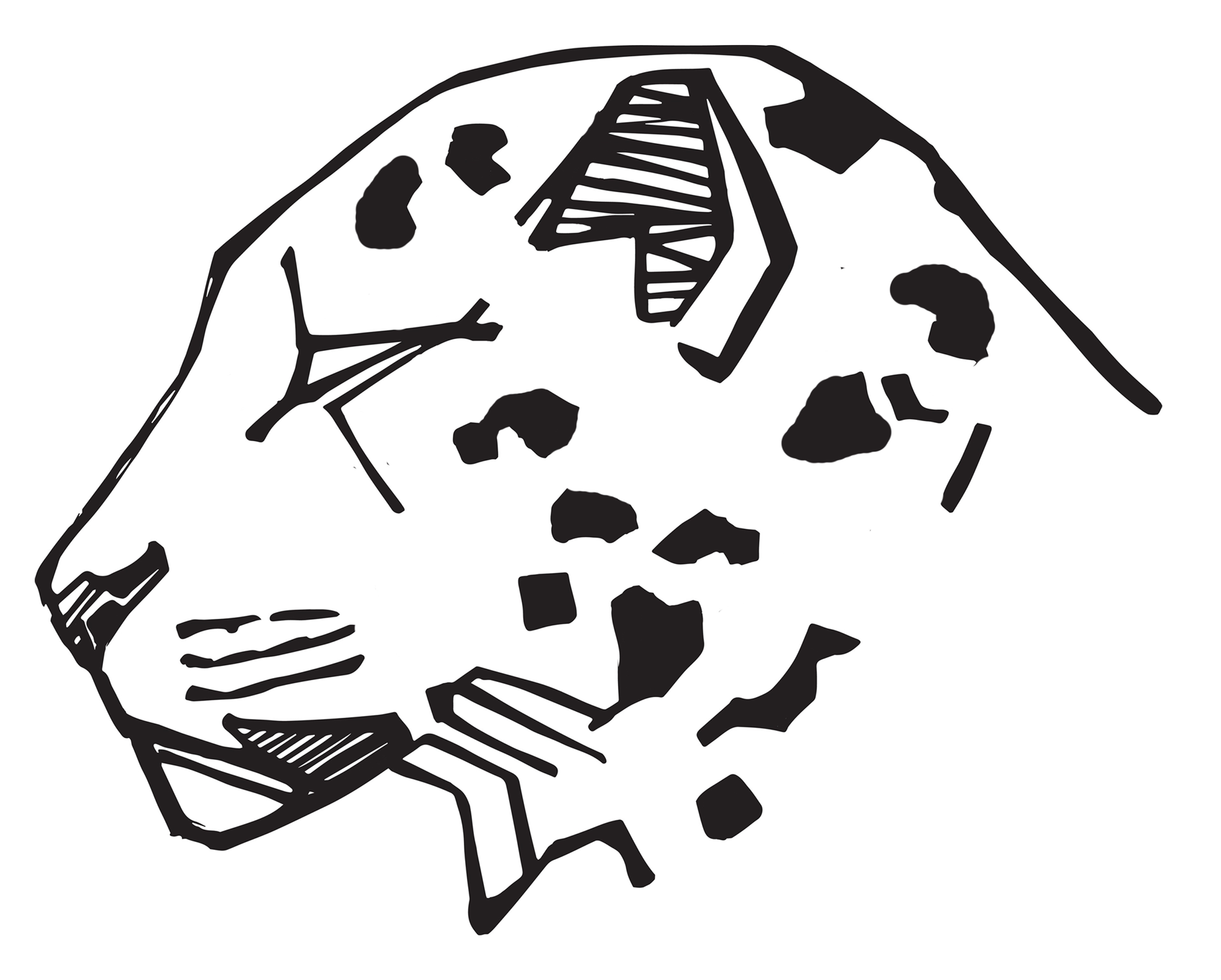 The Jaguars Jungle Lodge Logo