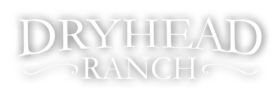 Dryhead Ranch Logo