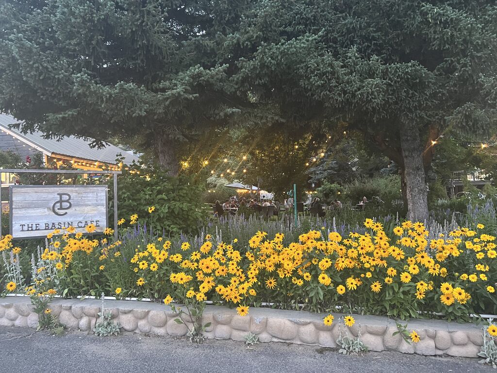 Garden views at the basin