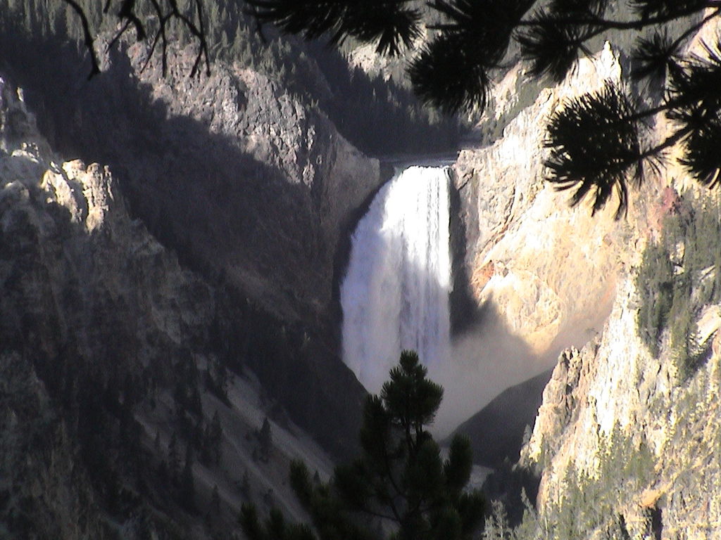 Enjoy Yellowstone National Park