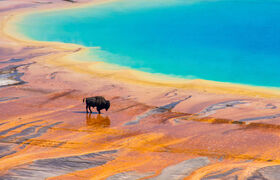LIVE. WORK. EXPLORE. in the World's First National Park. Yellowstone National Park Lodges photo