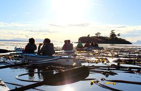 Earthbox Inn & Spa photo